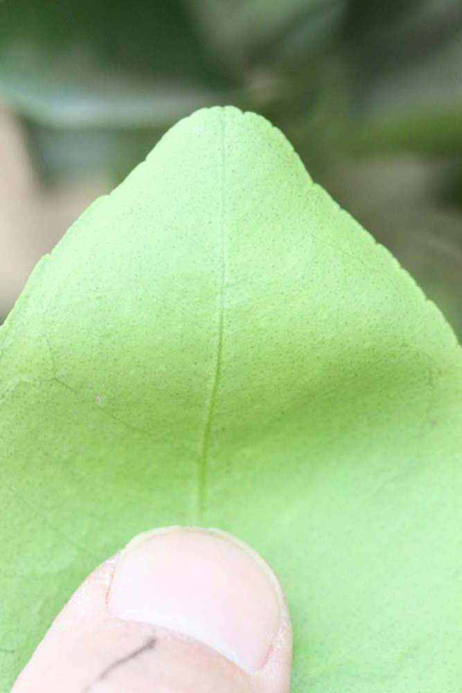              Margin (Riverside, CA)       